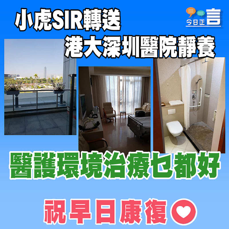 小虎SIR轉送港大深圳醫院靜養 醫護環境治療乜都好