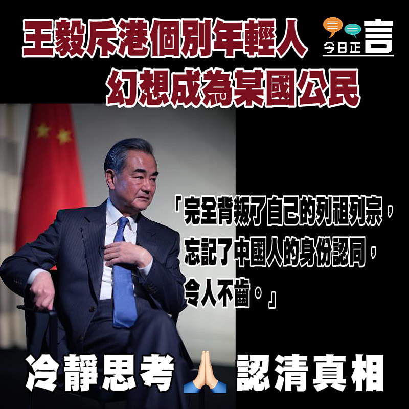 王毅斥港個別年輕人幻想成為某國公民