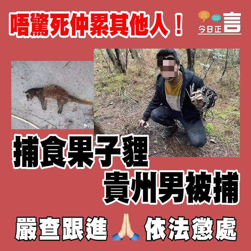 唔驚死仲累其他人！貴州男捕食果子貍