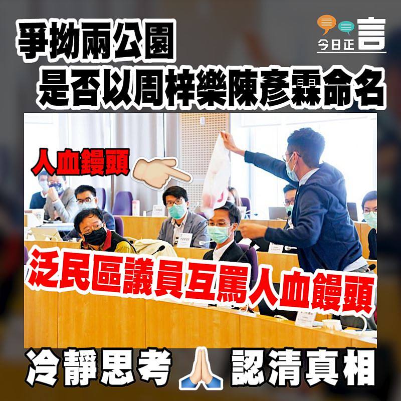 爭拗兩公園是否以周梓樂陳彥霖命名 泛民區議員互罵人血饅頭