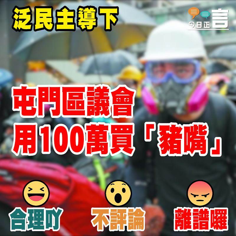 泛民主導下 屯門區議會用100萬買「豬嘴」