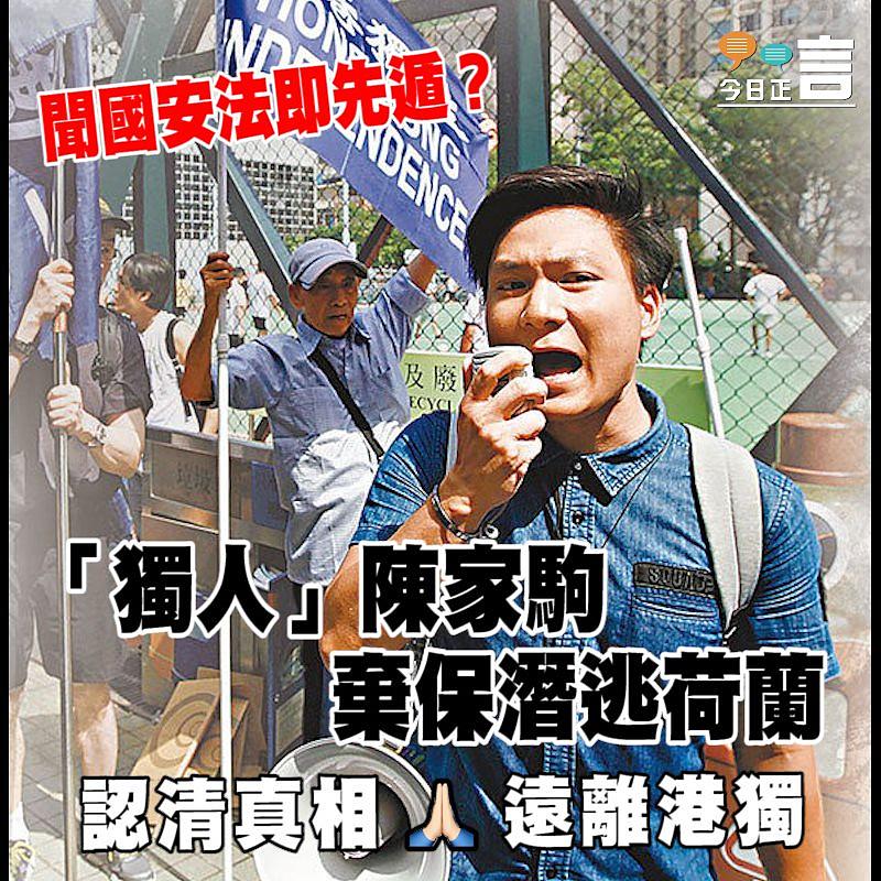 聞國安法即先遁？「獨人」陳家駒棄保潛逃荷蘭