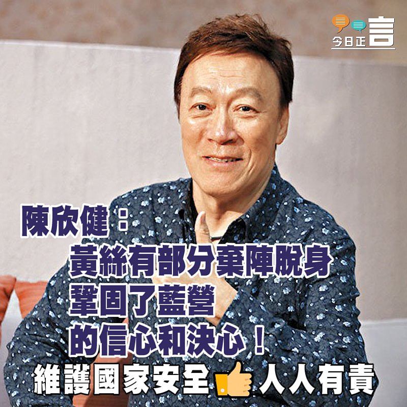 他們都撐國安法 陳欣健：鞏固了藍營的信心和決心！