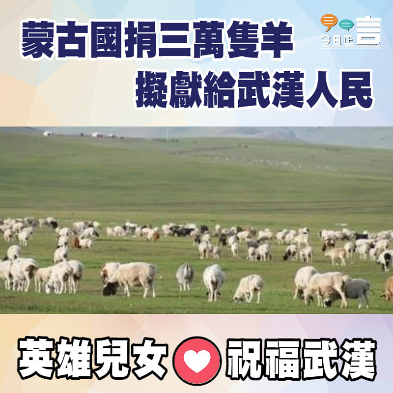 蒙古國捐三萬隻羊擬獻給武漢人民