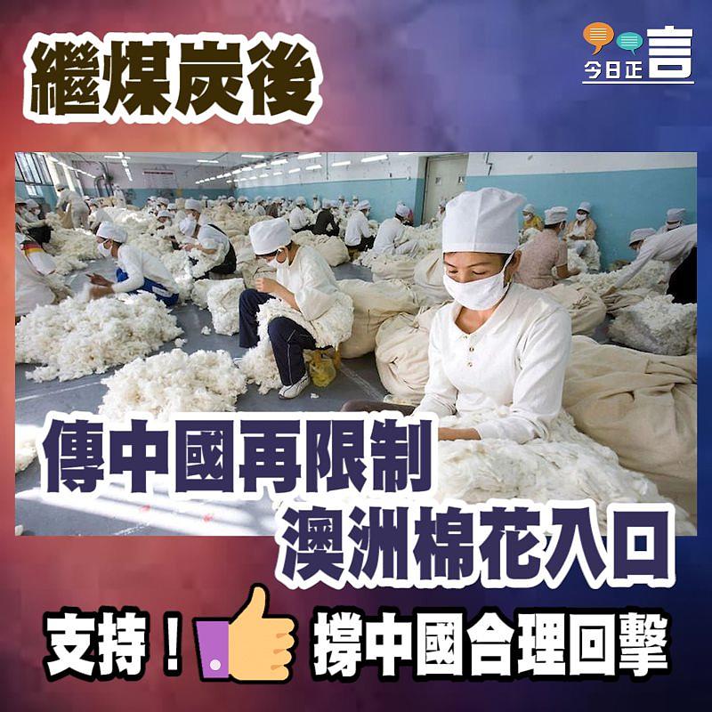 傳中國再限制澳洲棉花入口