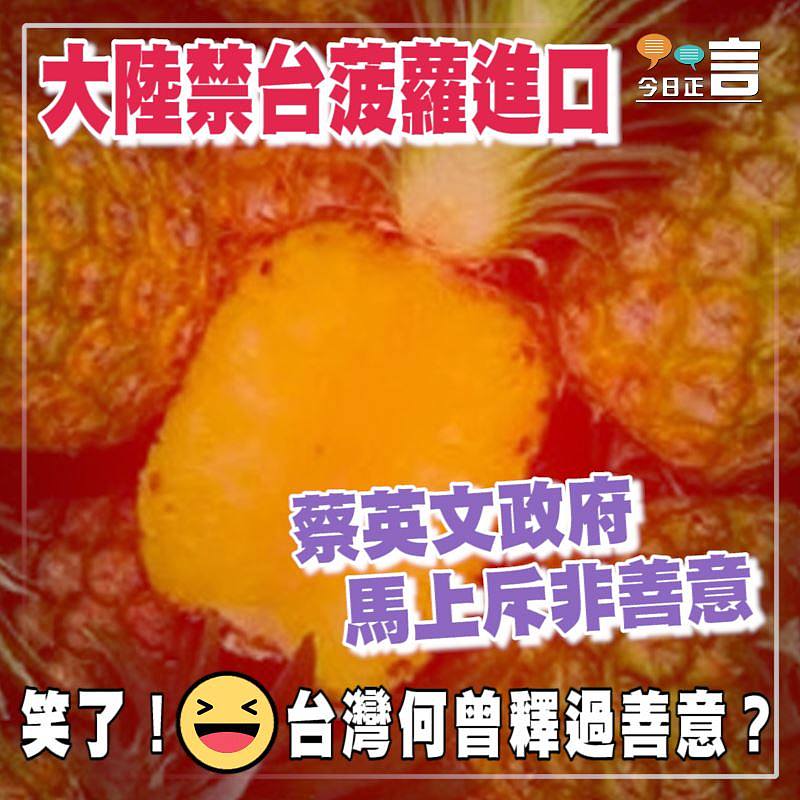 大陸禁台菠蘿進口 蔡英文政府馬上斥非善意
