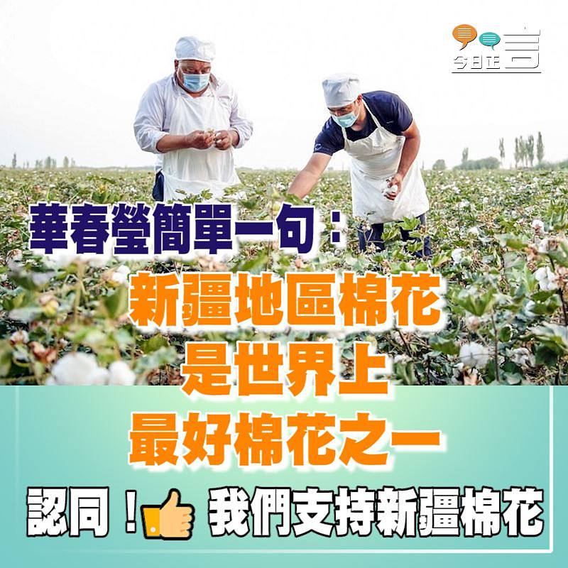 華春瑩簡單一句：新疆地區棉花是世界上最好棉花之一