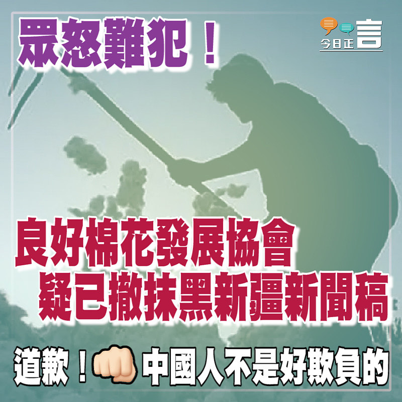 眾怒難犯！良好棉花發展協會疑已撤抹黑新疆新聞稿