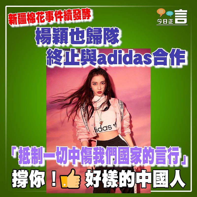 新疆棉花事件續發酵 楊穎也歸隊終止與adidas合作
