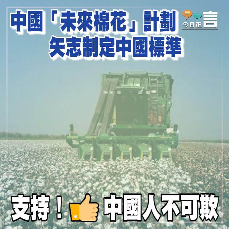 中國「未來棉花」計劃 矢志制定中國標準