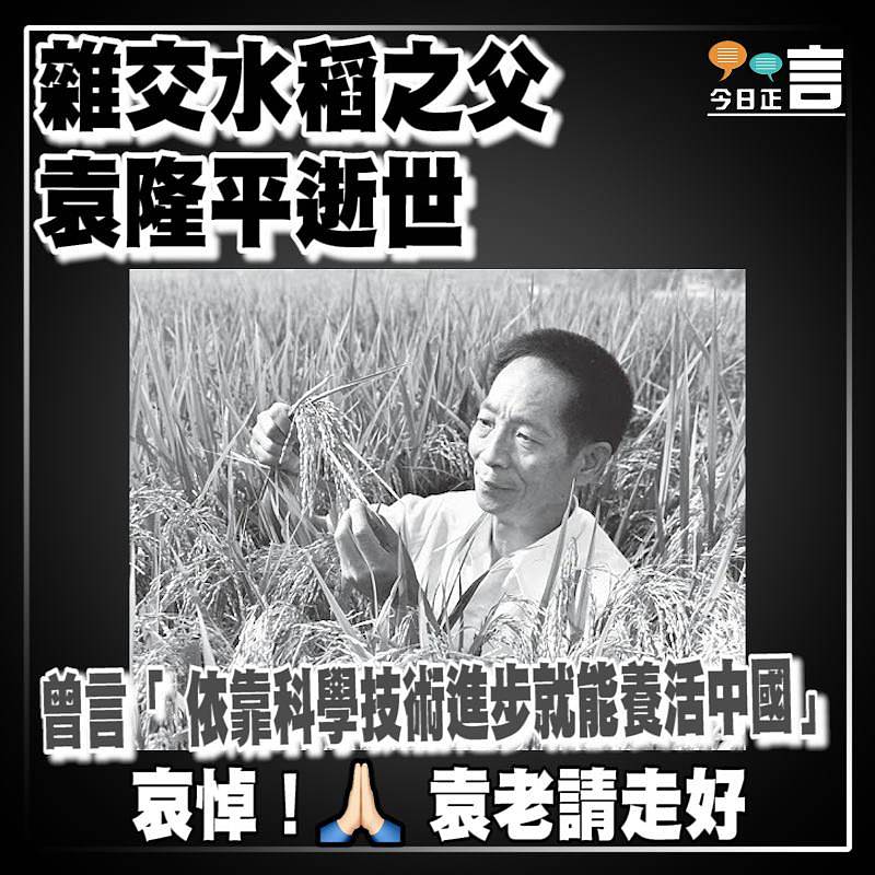 雜交水稻之父袁隆平逝世