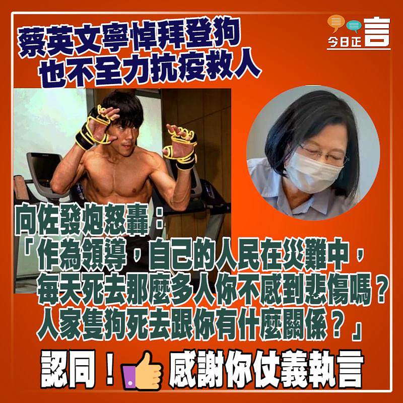 蔡英文寧悼拜登狗也不全力抗疫救人 向佐發炮怒轟：每天死去那麽多人你不感到悲傷嗎？