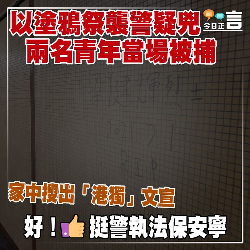 以塗鴉祭襲警疑兇 兩名青年當場被捕