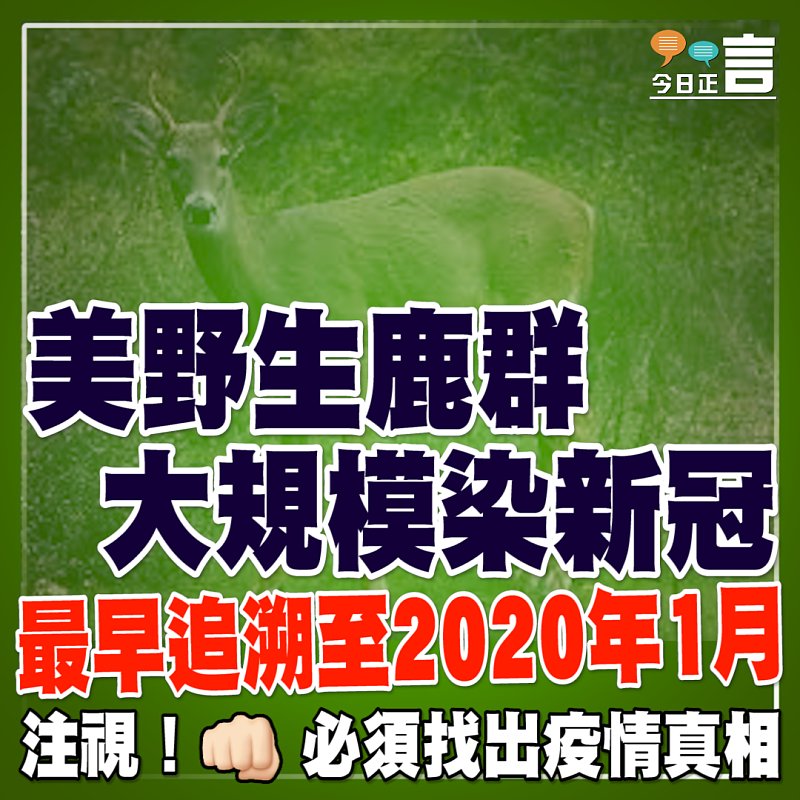 美野生鹿群大規模染新冠 最早追溯至2020年1月