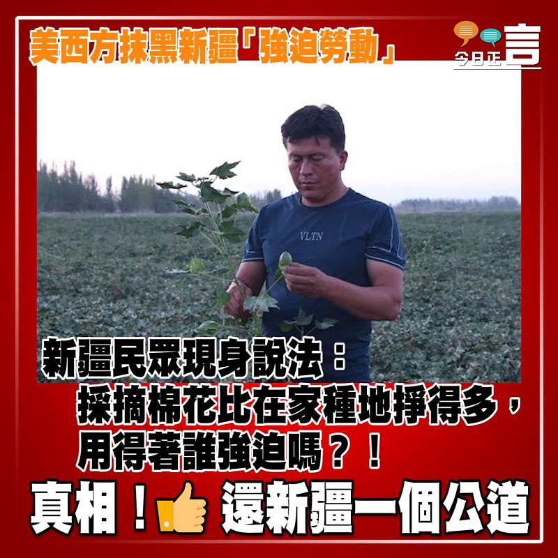 美西方抹黑新疆 「強迫勞動」，新疆民眾現身說法：採摘棉花比在家種地掙得多，用得著誰強迫嗎？！