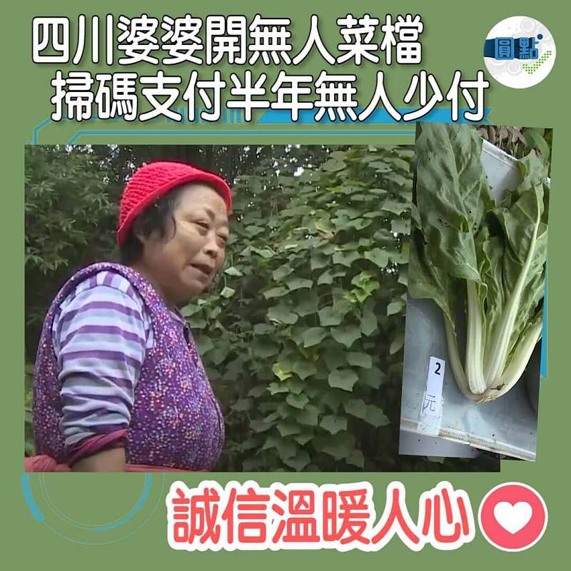 四川婆婆開無人菜檔 掃碼支付半年無人少付