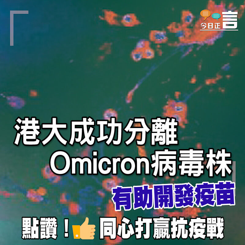 港大成功分離Omicron病毒株　有助開發疫苗