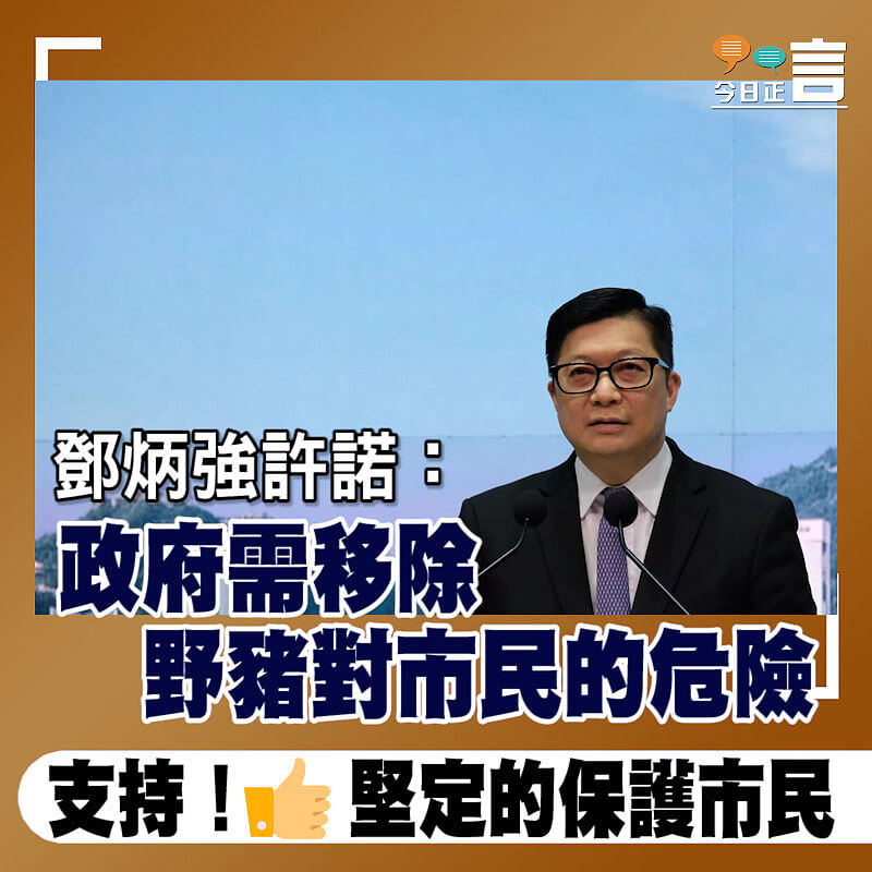 鄧炳強許諾：政府需移除野豬對市民的危險