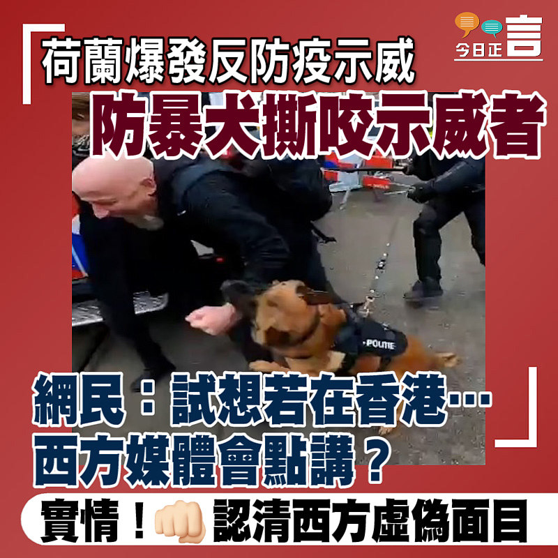 荷蘭爆發反防疫示威 防暴犬撕咬示威者