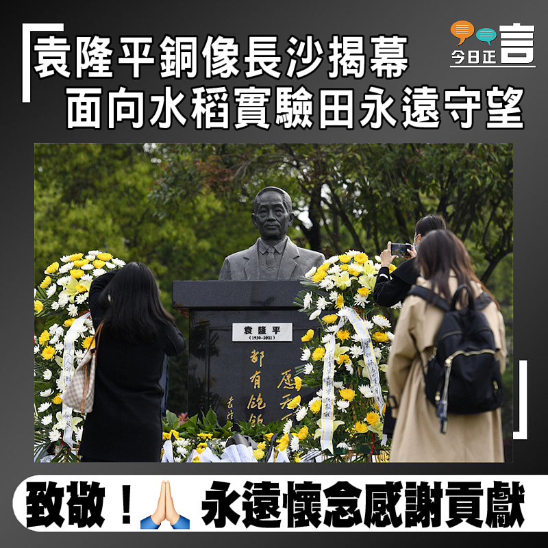 袁隆平銅像長沙揭幕 面向水稻實驗田永遠守望