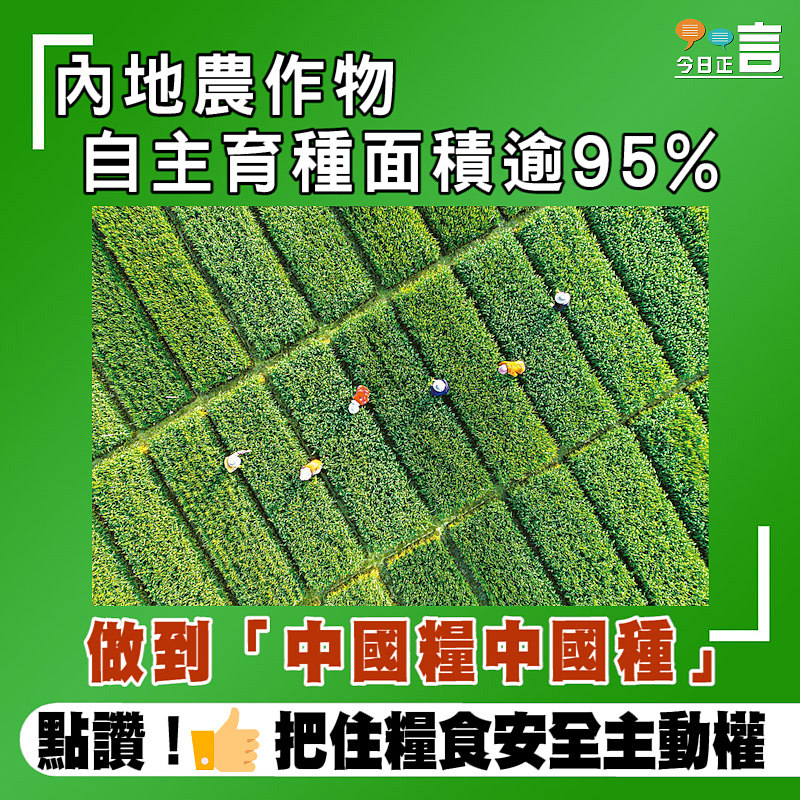 內地農作物自主育種面積逾95% 做到「中國糧中國種」