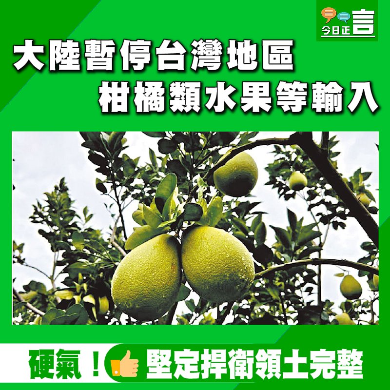 大陸暫停台灣地區柑橘類水果等輸入