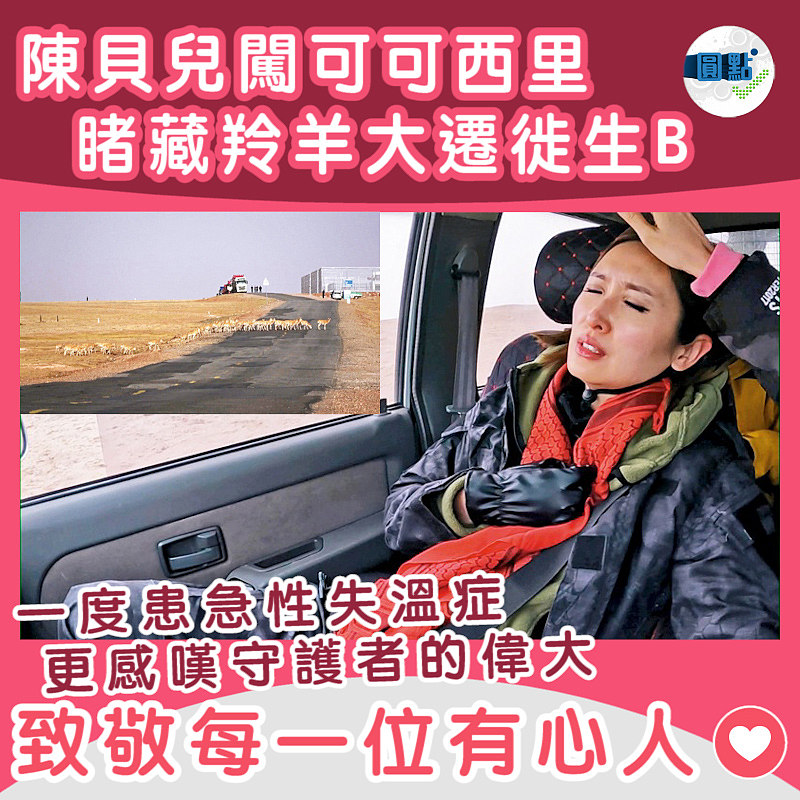 陳貝兒闖可可西里睹藏羚羊大遷徙生B