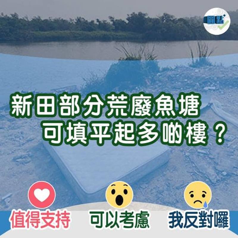 新田部分荒廢魚塘 可填平起多啲樓？