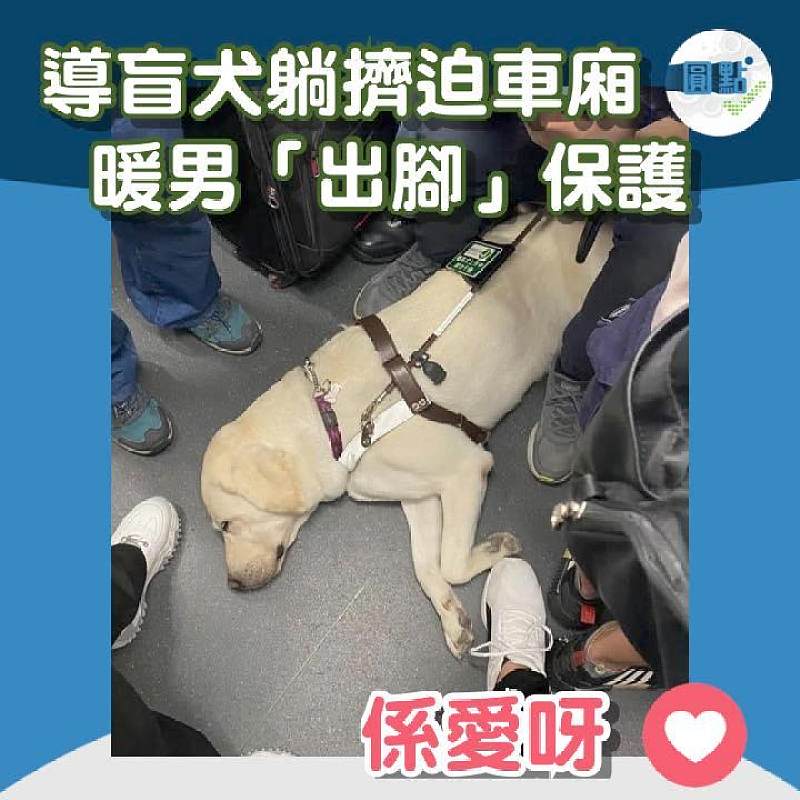 導盲犬躺擠迫車廂 暖男「出腳」保護