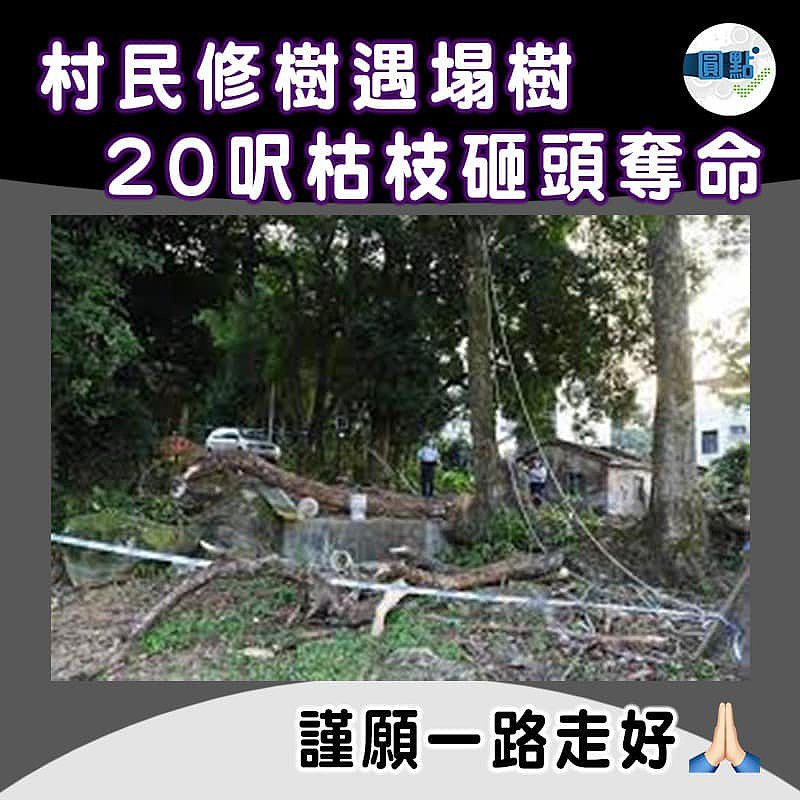 村民修樹遇塌樹 20呎枯枝砸頭奪命
