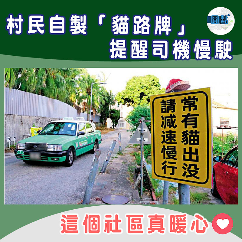 村民自製「貓路牌」提醒司機慢駛