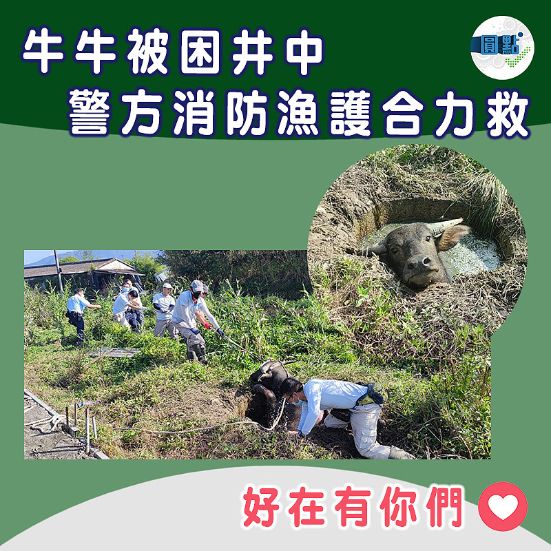 牛牛被困井中　警方消防漁護合力救