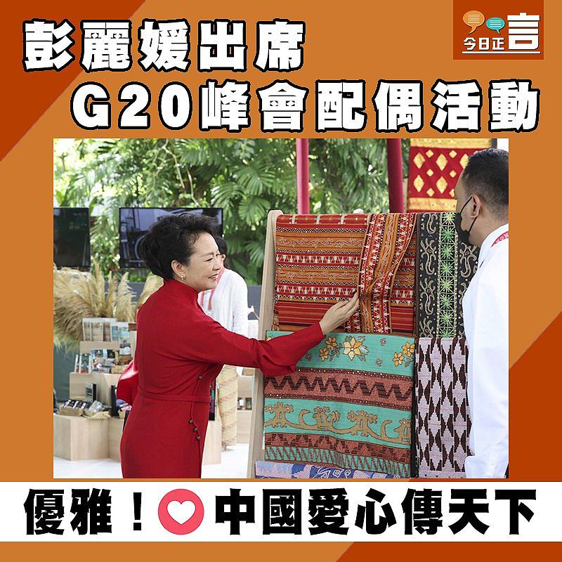 彭麗媛出席G20峰會配偶活動