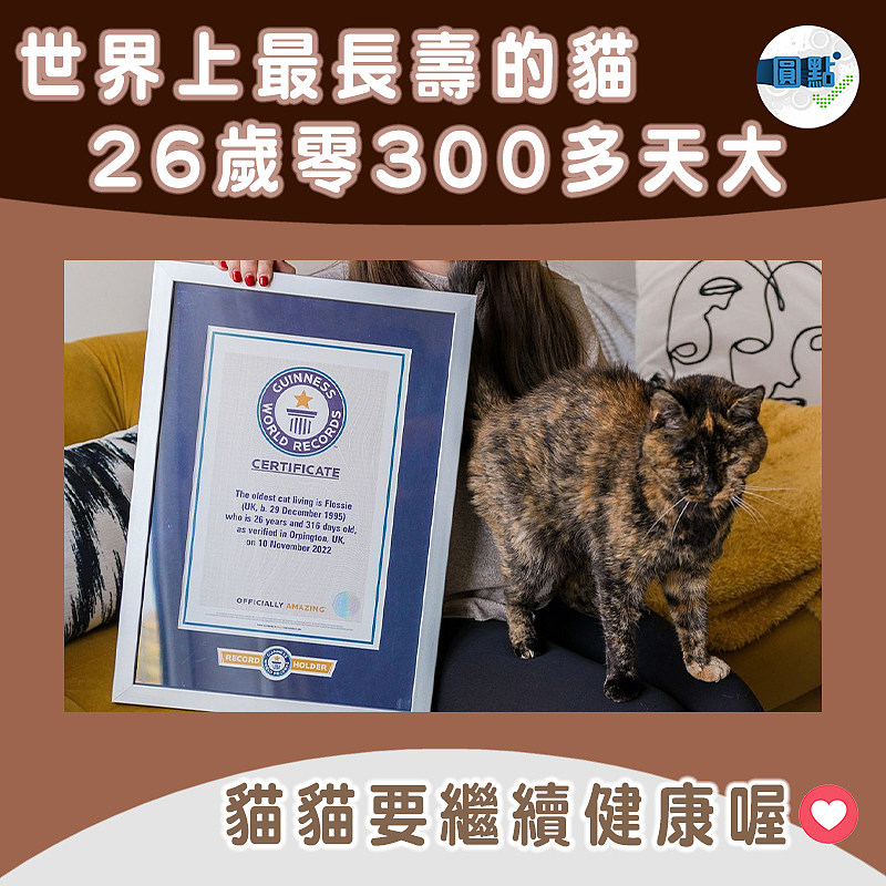 世界上最長壽的貓！26歲零300多天大