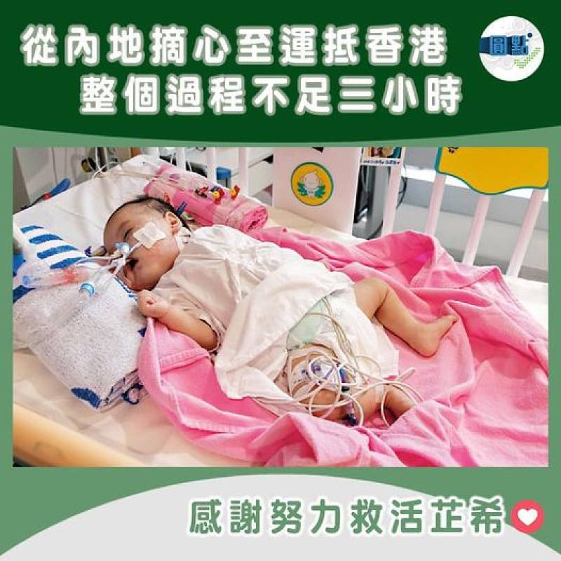 從內地摘心至運抵香港 整個過程不足三小時