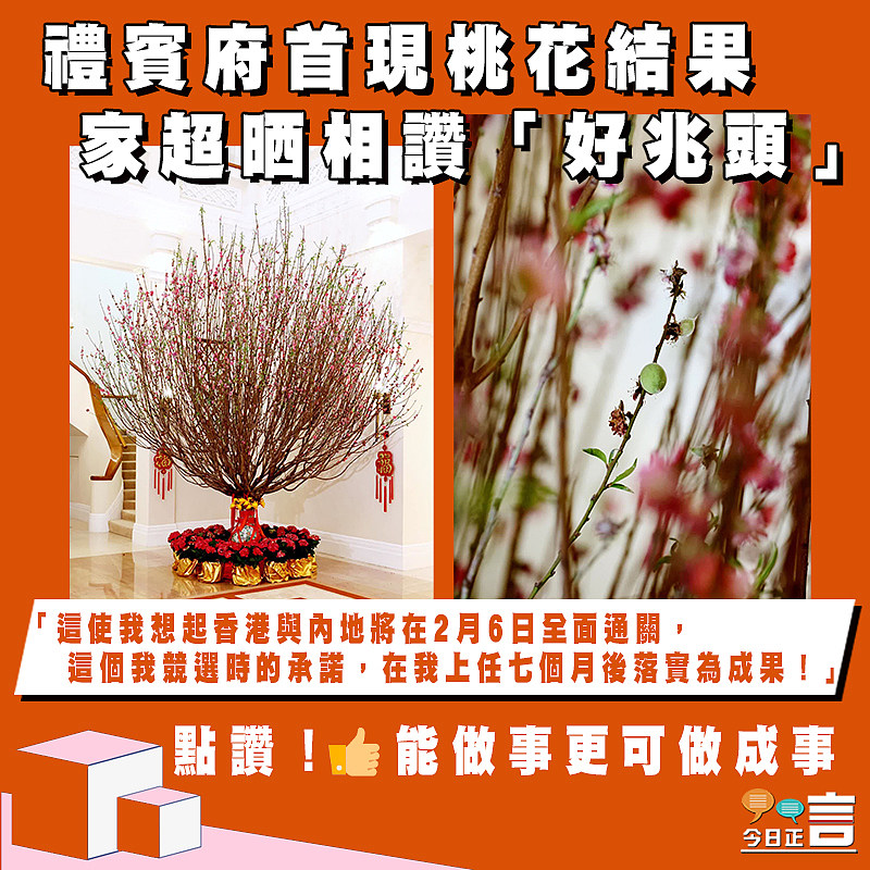 禮賓府首現桃花結果　 家超晒相讚「好兆頭」