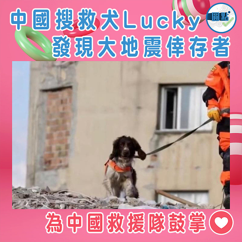 中國搜救犬Lucky發現大地震倖存者