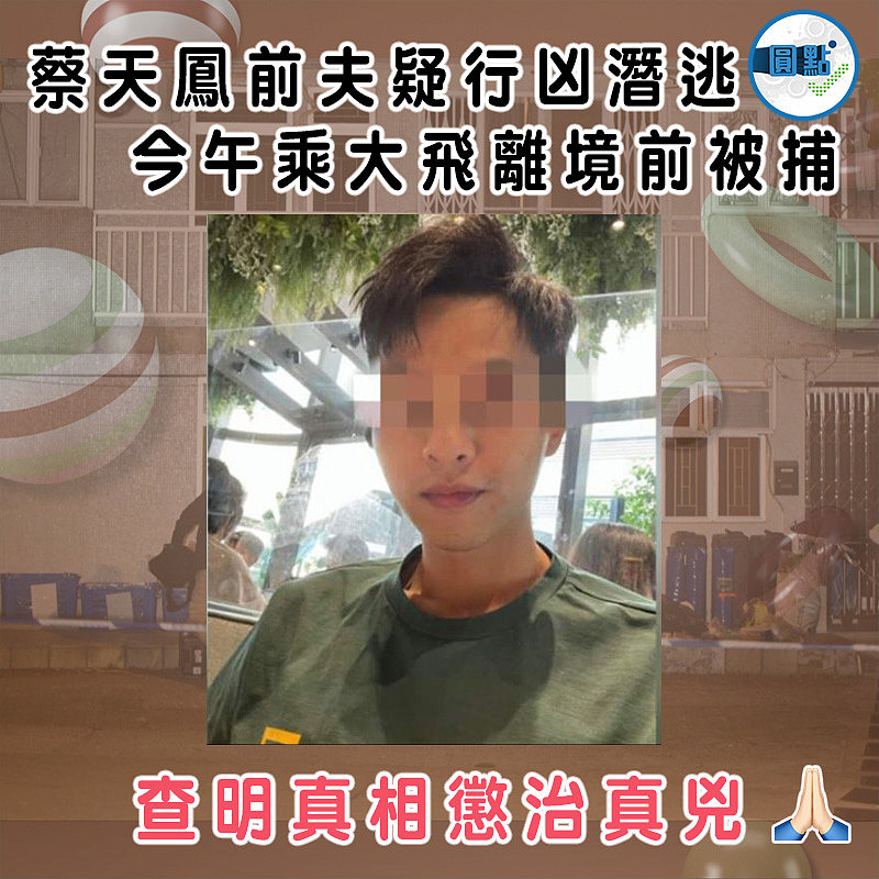 蔡天鳳前夫疑行凶潛逃 今午乘大飛離境前被捕