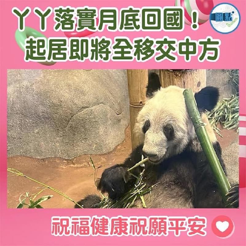 丫丫落實月底回國！起居即將全移交中方