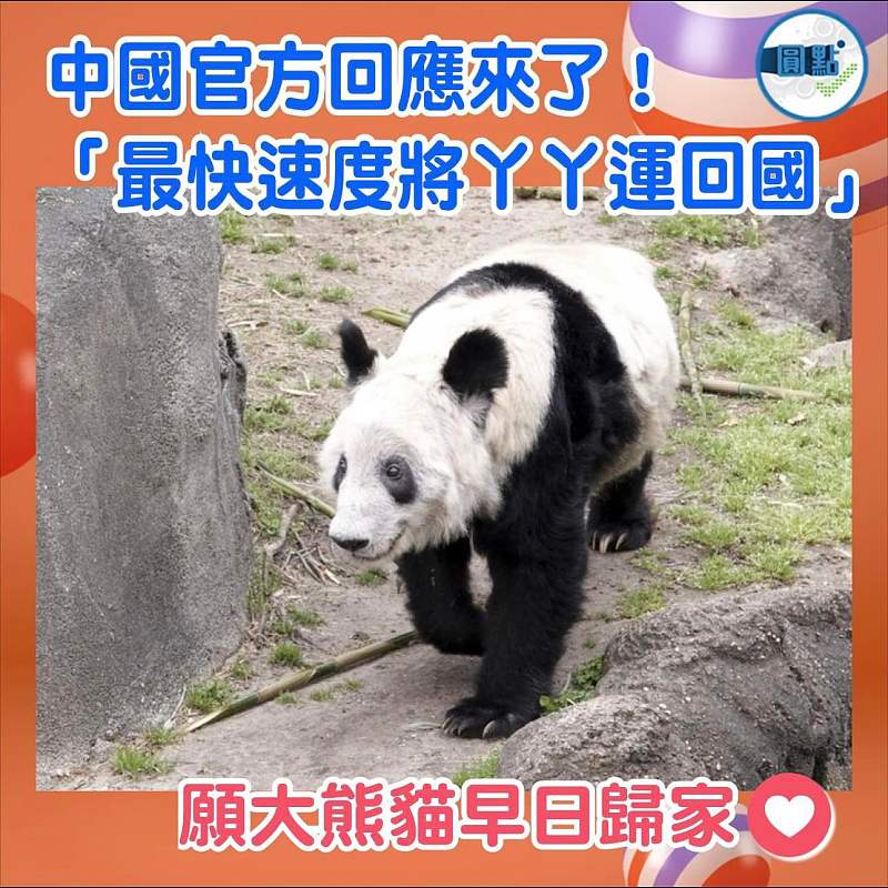 中國官方回應來了！「最快速度將丫丫運回國」
