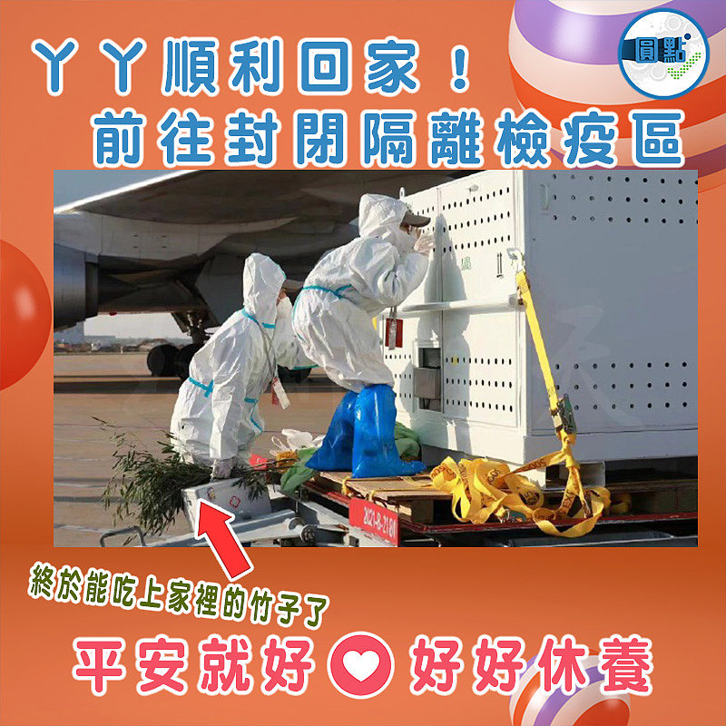 丫丫順利回家！前往封閉隔離檢疫區