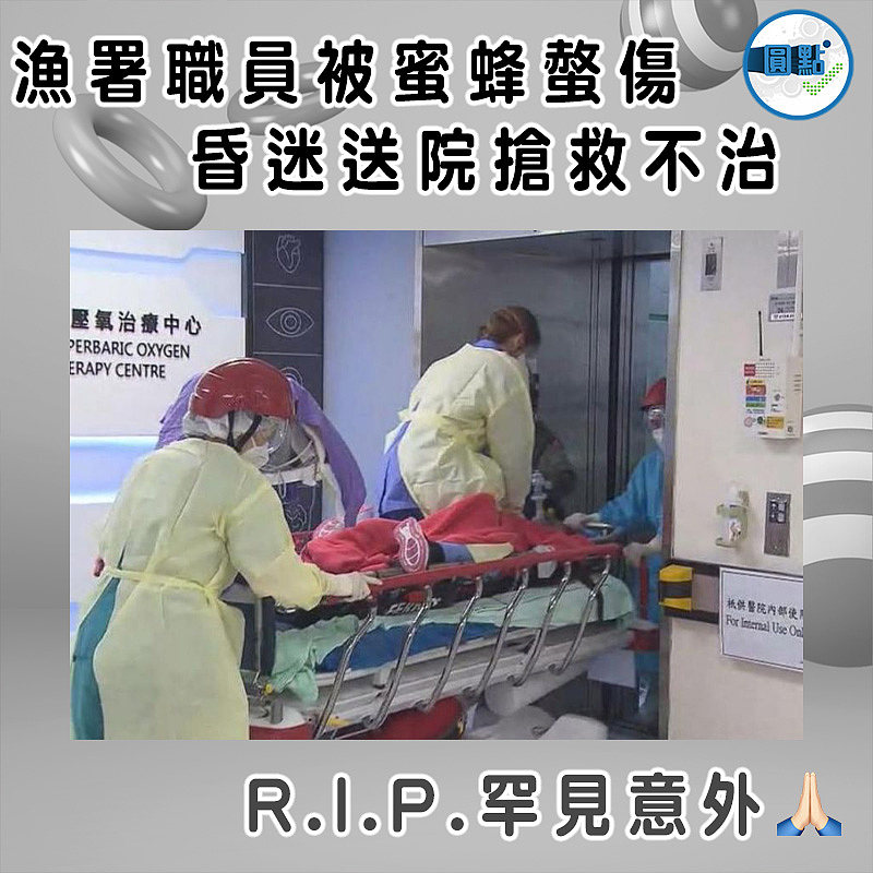 漁署職員被蜜蜂螫傷 昏迷送院搶救不治