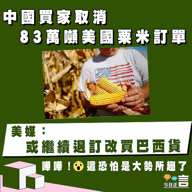 中國買家取消83萬噸美國粟米訂單　 美媒：或繼續退訂改買巴西貨