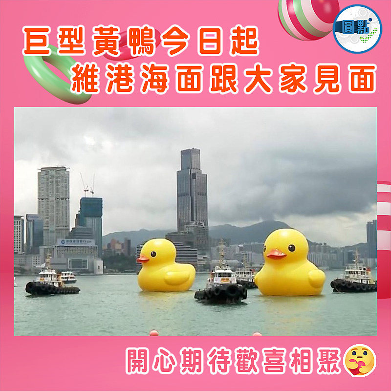 巨型黃鴨今日起維港海面跟大家見面
