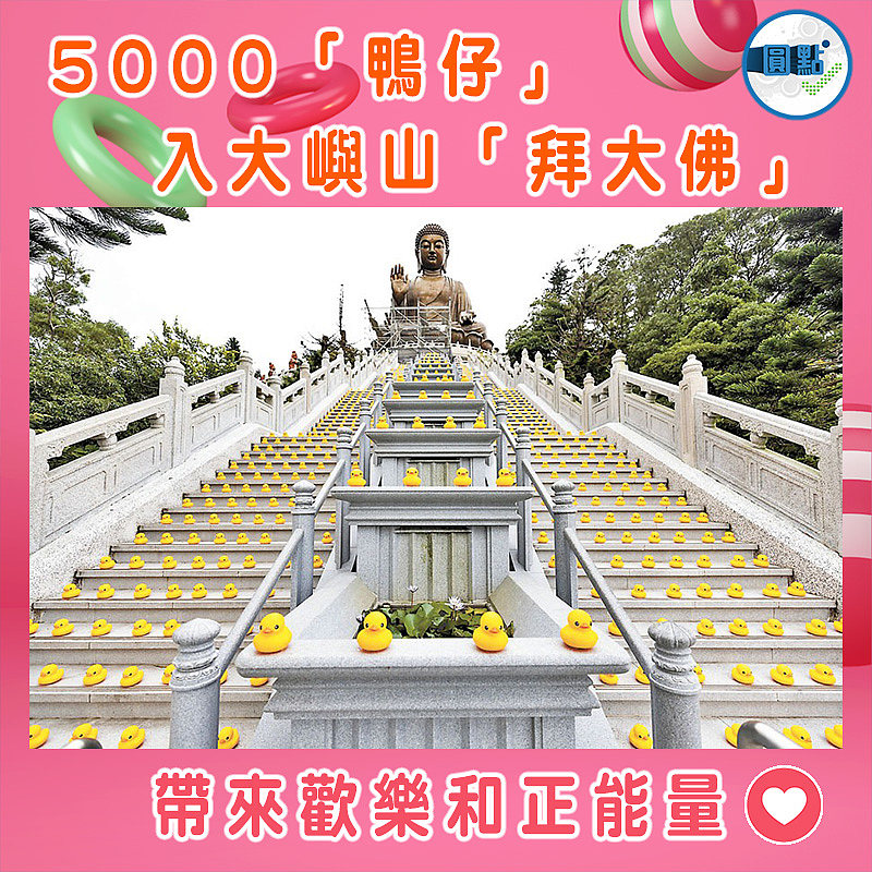 5000「鴨仔」入大嶼山「拜大佛」