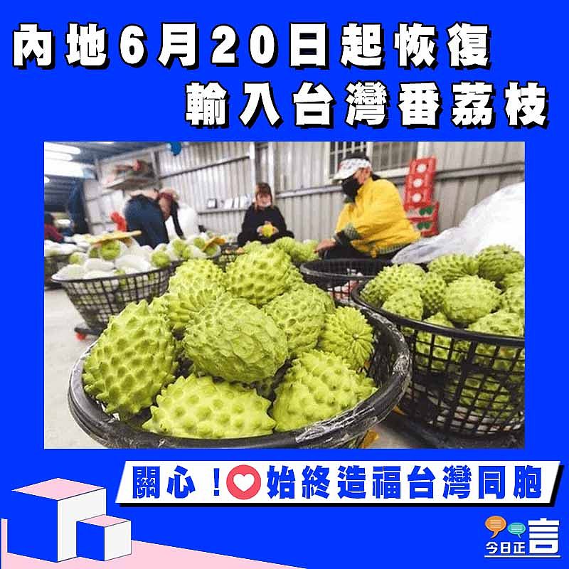 內地6月20日起恢復輸入台灣番荔枝