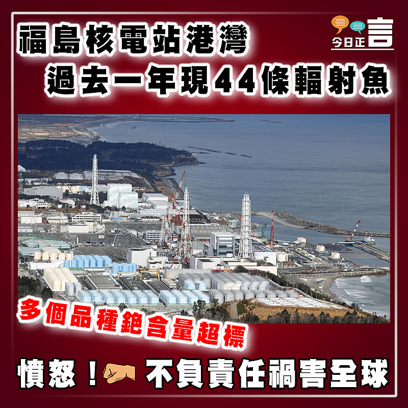 福島核電站港灣過去一年現44條輻射魚　多個品種銫含量超標