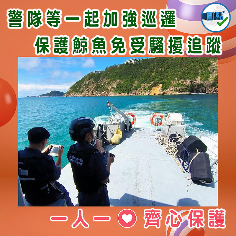 警隊等一起加強巡邏 保護鯨魚免受騷擾追蹤