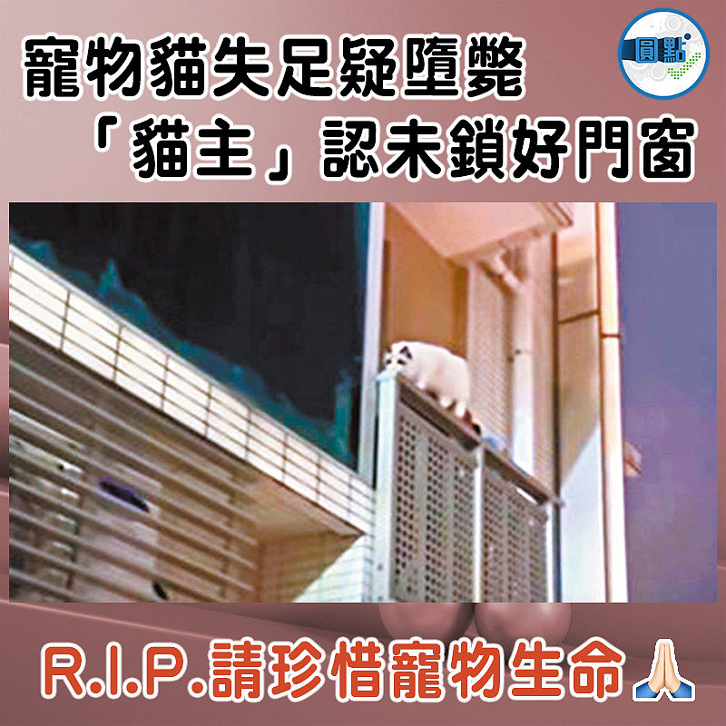 寵物貓失足疑墮斃 「貓主」認未鎖好門窗