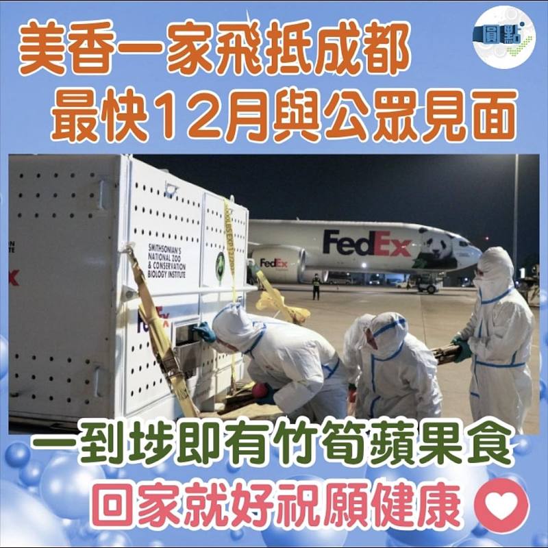 美香一家飛抵成都 最快12月與公眾見面
